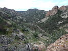 photo thumbnail #9