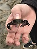 photo thumbnail #5
