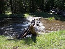 photo thumbnail #1