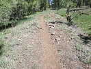 photo thumbnail #4