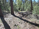photo thumbnail #6