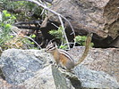 photo thumbnail #6