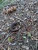 photo thumbnail #14