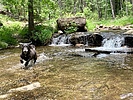 photo thumbnail #4