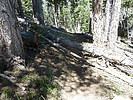 photo thumbnail #13