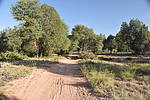photo thumbnail #3