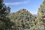photo thumbnail #5