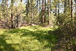 photo thumbnail #11