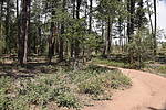 photo thumbnail #5