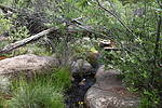 photo thumbnail #8