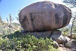 photo thumbnail #3