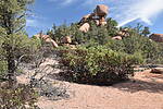 photo thumbnail #8