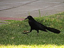 photo thumbnail #11