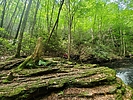 photo thumbnail #4