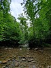 photo thumbnail #13