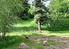 photo thumbnail #12