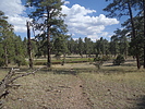 photo thumbnail #8