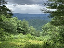 photo thumbnail #1