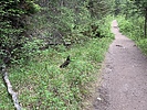 photo thumbnail #11