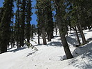 photo thumbnail #8