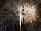 photo thumbnail #15