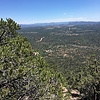 photo thumbnail #8