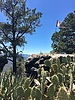 photo thumbnail #9