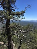 photo thumbnail #11