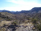 photo thumbnail #5