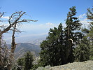 photo thumbnail #10