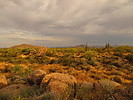 photo thumbnail #2