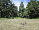photo thumbnail #9