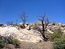 photo thumbnail #6