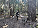 photo thumbnail #11