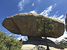 photo thumbnail #1