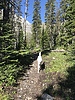photo thumbnail #5