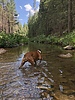photo thumbnail #1