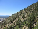 photo thumbnail #1