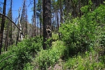 photo thumbnail #2