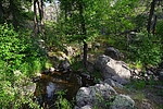 photo thumbnail #6