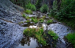 photo thumbnail #8