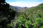 photo thumbnail #9