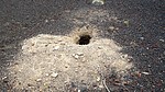 photo thumbnail #1
