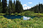 photo thumbnail #9