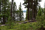 photo thumbnail #7