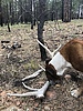 photo thumbnail #9