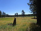 photo thumbnail #8