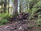 photo thumbnail #4