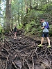 photo thumbnail #12