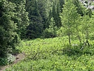 photo thumbnail #10